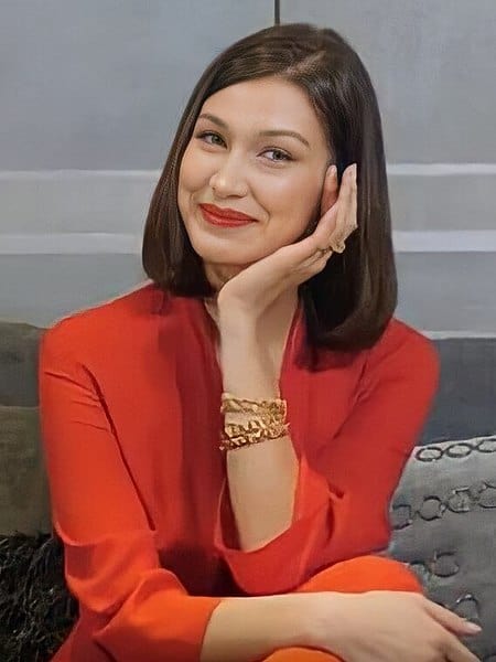 Bella Hadid with autoimmune disease - Lyme Disease